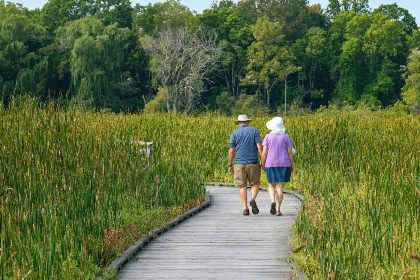 Senior pár v záhrade